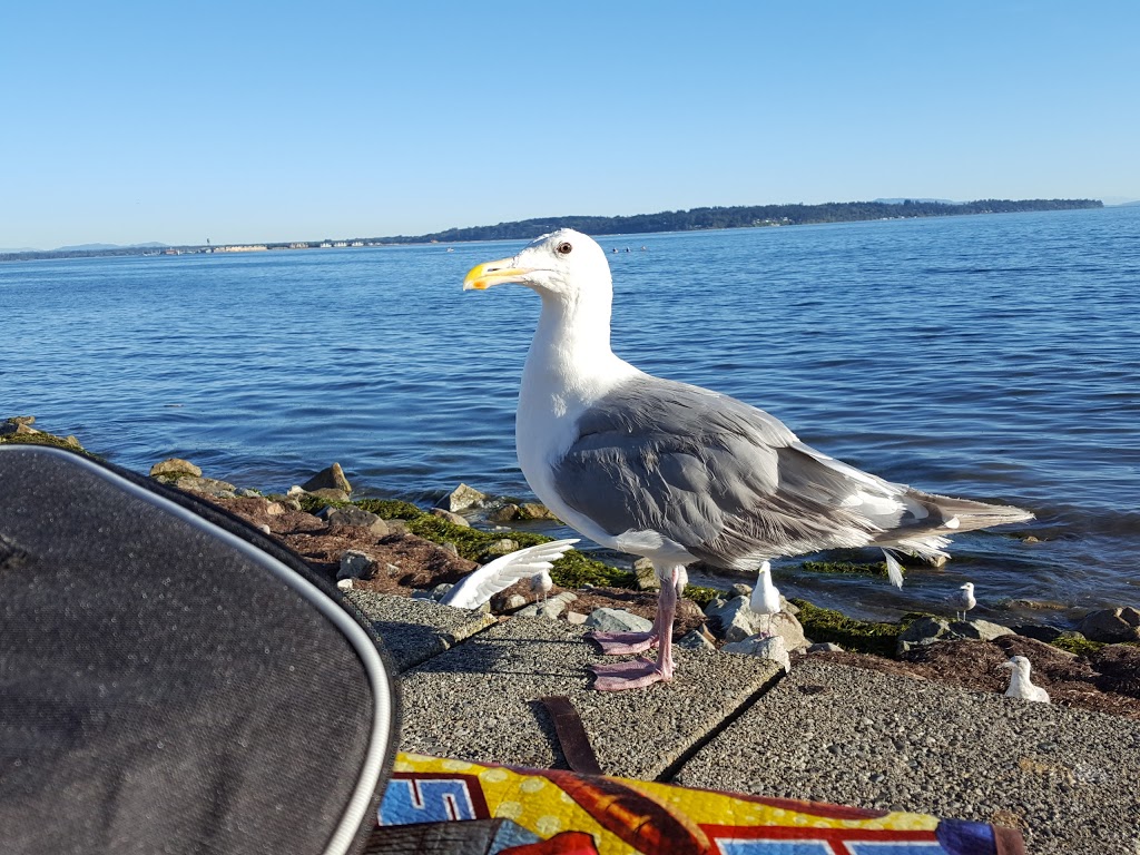 Totem Park | Marine Dr, White Rock, BC V4B 1E2, Canada | Phone: (604) 541-2181