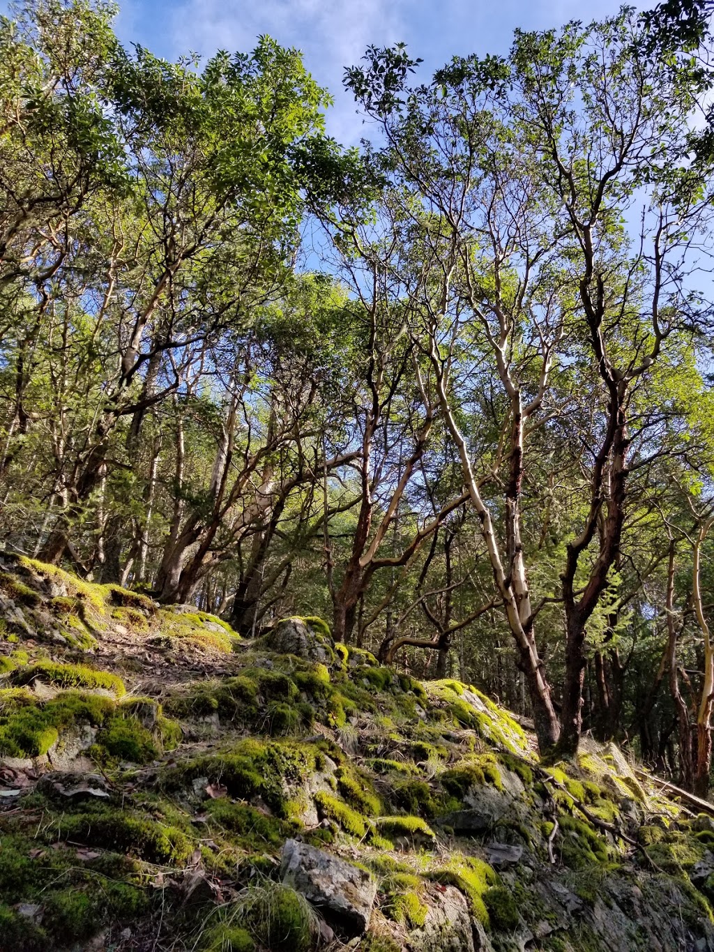 Peter Arnell Park | 409 Stewart Rd, Salt Spring Island, BC V8K 1Y6, Canada | Phone: (250) 360-3000
