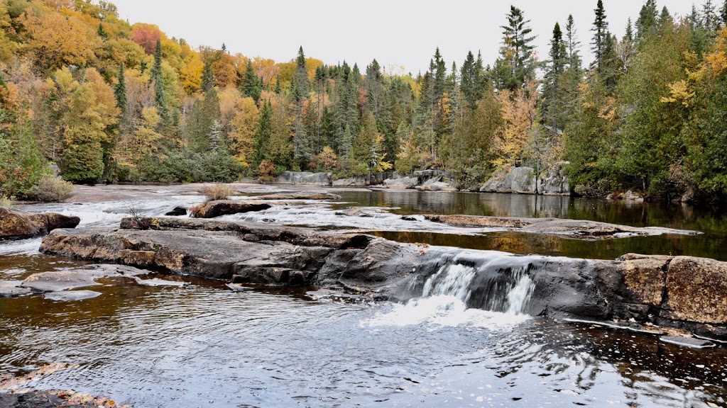 Portneuf wildlife reserve | 229 Rue du Lac Vert, Rivière-à-Pierre, QC G0A, Canada | Phone: (800) 665-6527