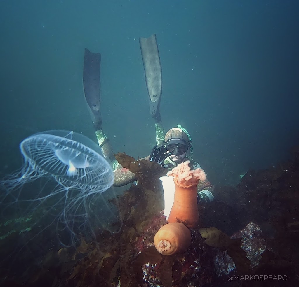 Freedive BC | 7480 Gilbert Rd., Richmond, BC V7C 3W2, Canada | Phone: (604) 897-1801