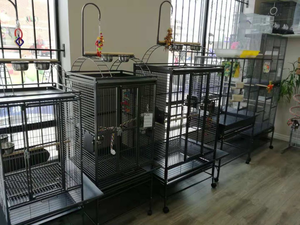 Glitter Pet Supplies | 190 Britannia Rd E #20, Mississauga, ON L4Z 2E7, Canada | Phone: (647) 718-7387