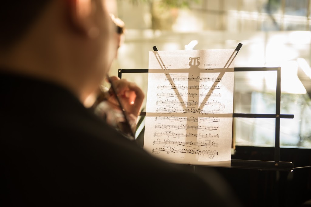 George Chen Violin Studio | 71 Glen Watford Dr, Scarborough, ON M1S 2C4, Canada | Phone: (647) 871-2043