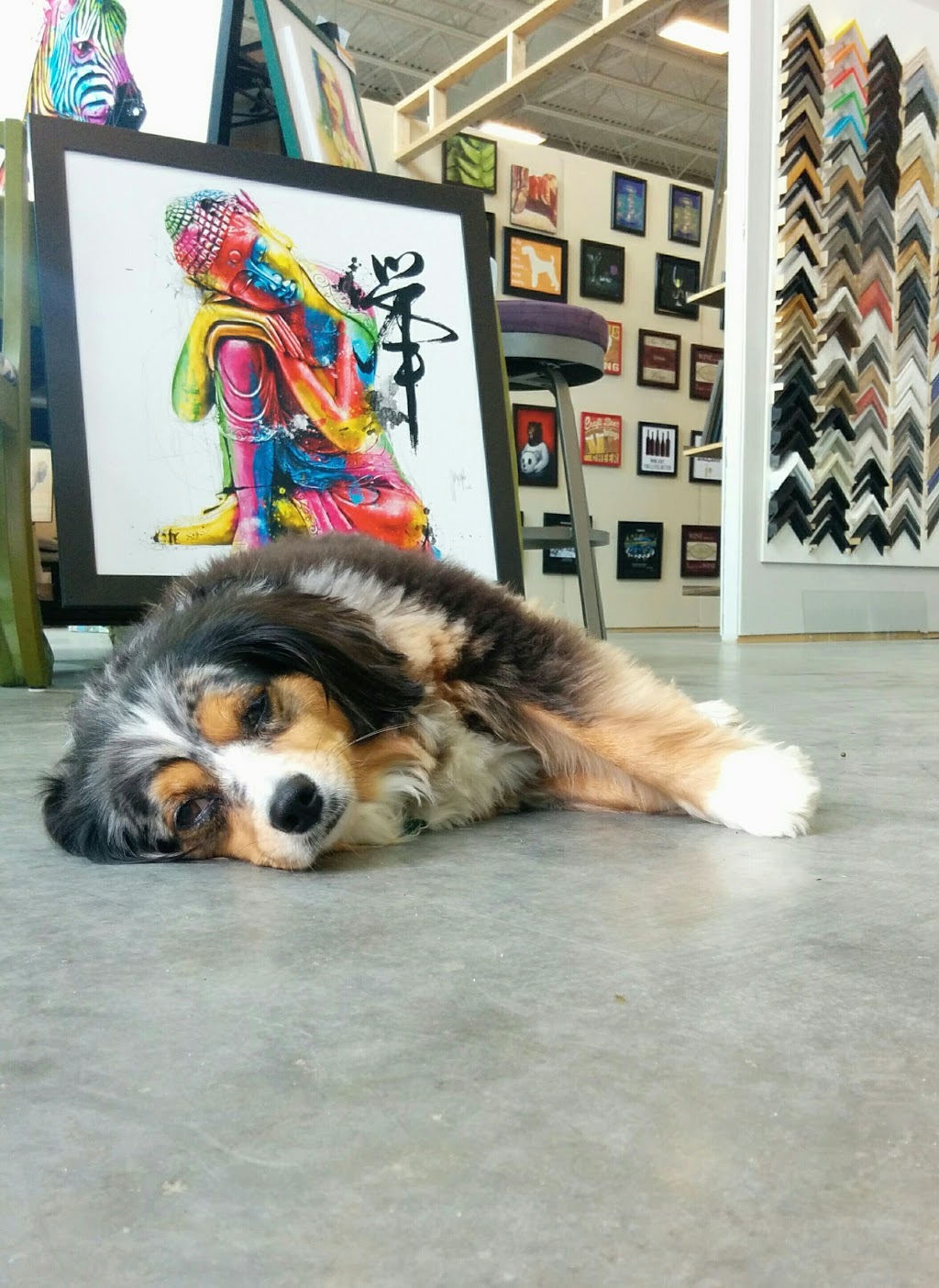 Urban Decor Centre | 2181 192 St, Surrey, BC V3S 3X2, Canada | Phone: (604) 560-2181