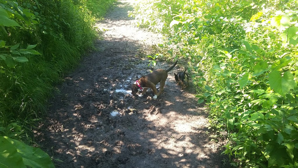 Meadowbrook Dog Park | 692 Parkside Crescent, Kingston, ON K7M 8A7, Canada
