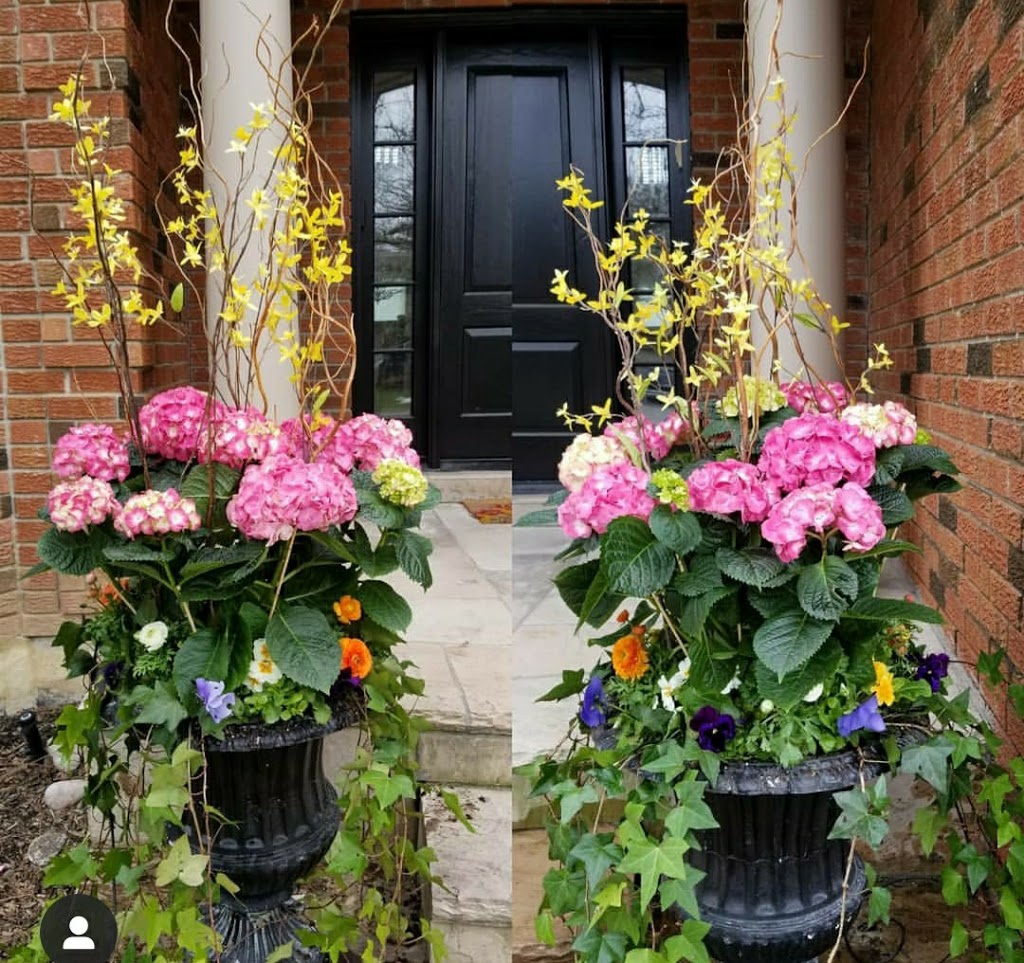 Pinpointflowers | 95 MacArthur Dr, Thornhill, ON L4J 8J6, Canada | Phone: (416) 771-1571