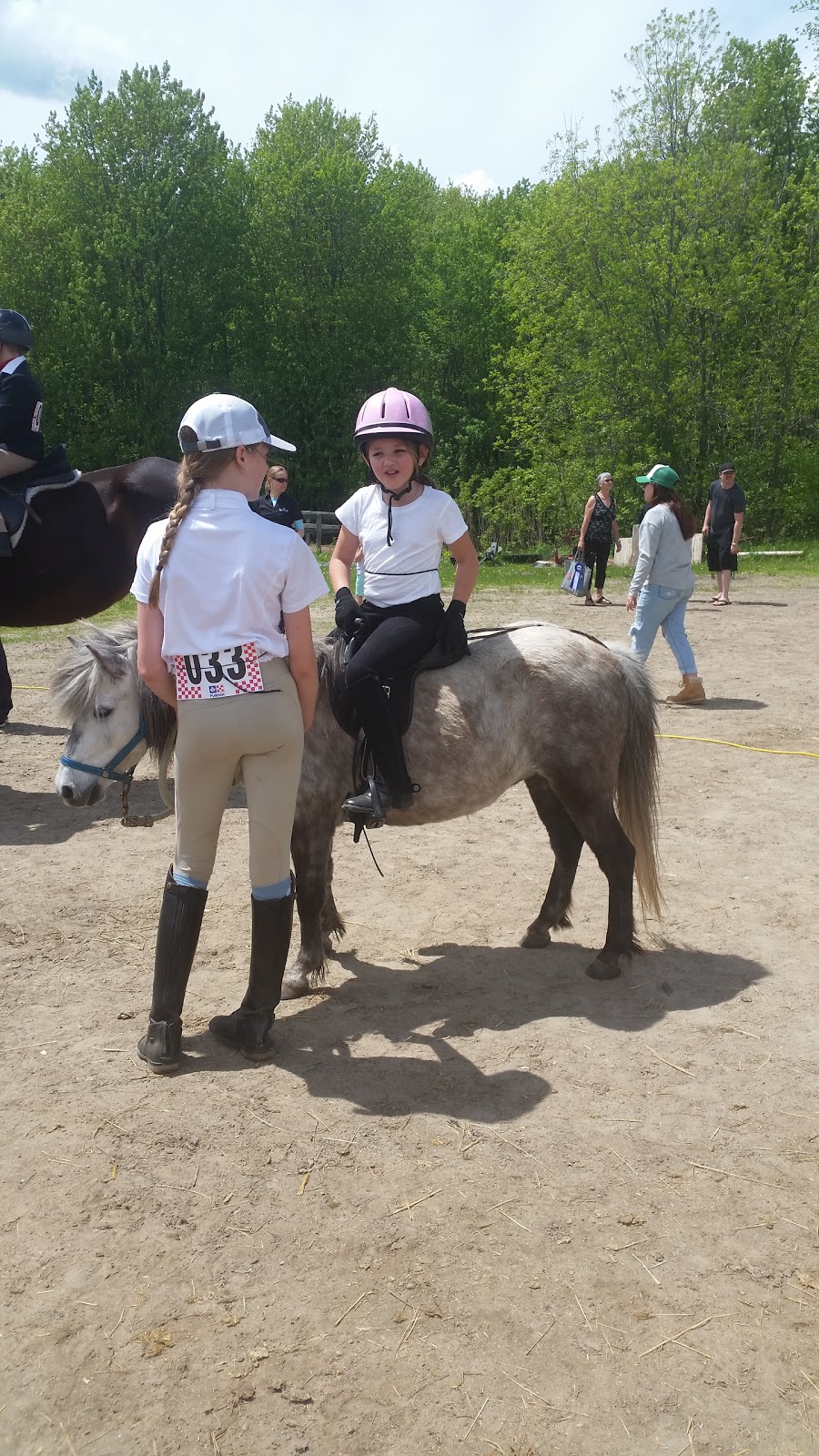 Whitewater Equestrian Centre | 20771 Hwy 17, Pembroke, ON K8A 6W3, Canada | Phone: (613) 633-1331
