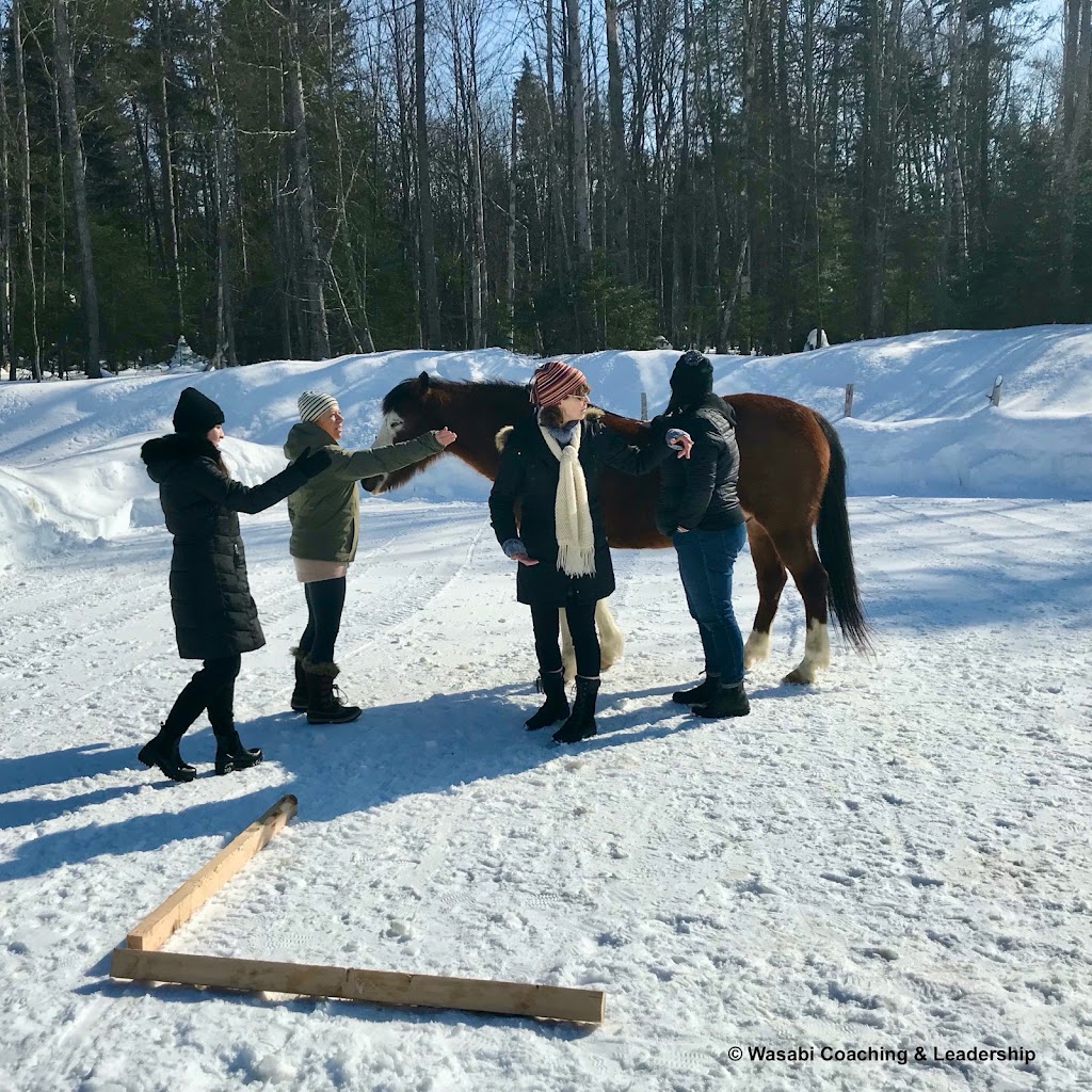 Wásábi Coaching | 1033 Chem. Tamaracouta #1021, Morin-Heights, QC J0R 1H0, Canada | Phone: (450) 340-0535