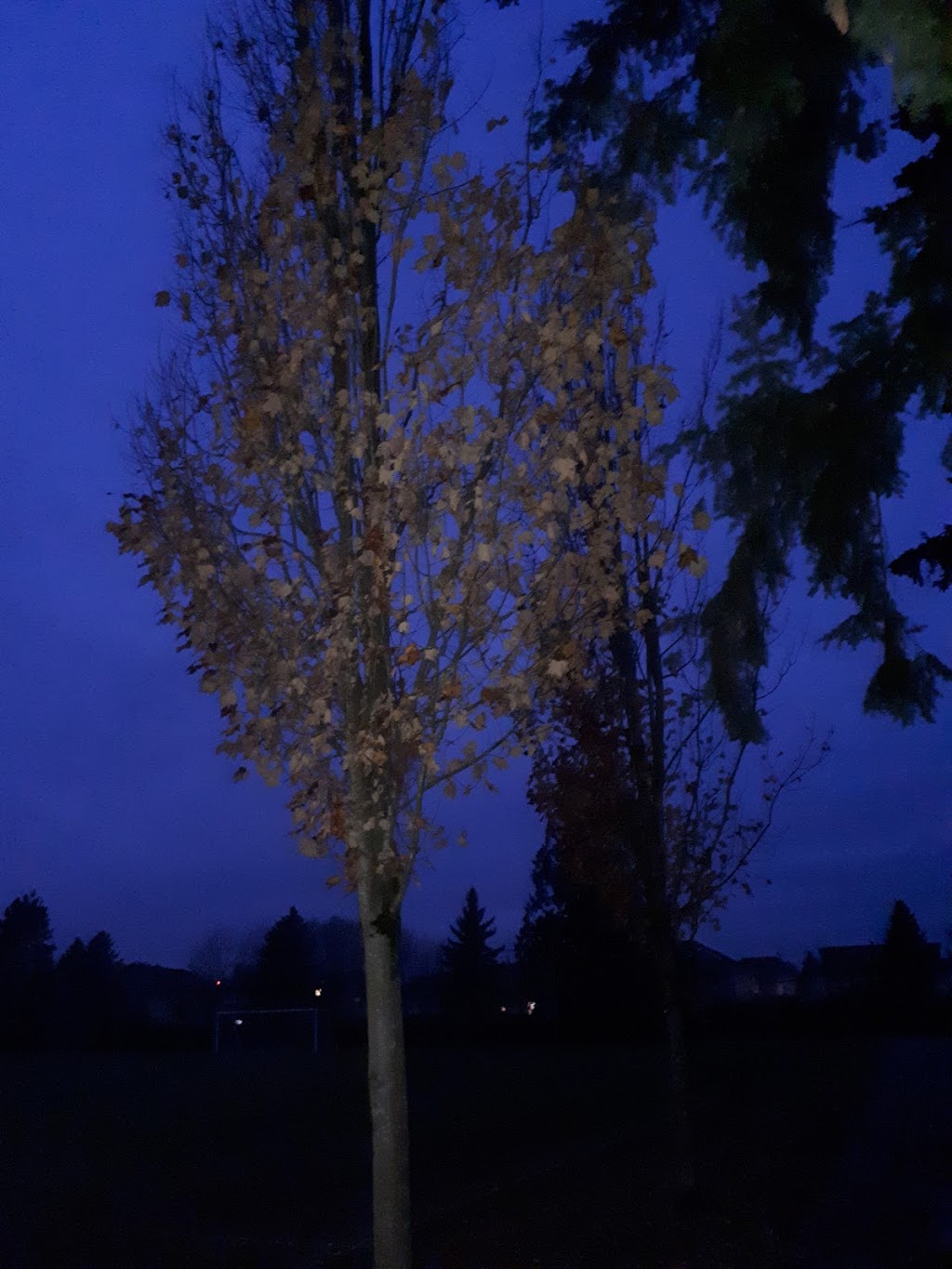 Swensson Park | 27875 Swensson Ave, Abbotsford, BC V4X 1H4, Canada