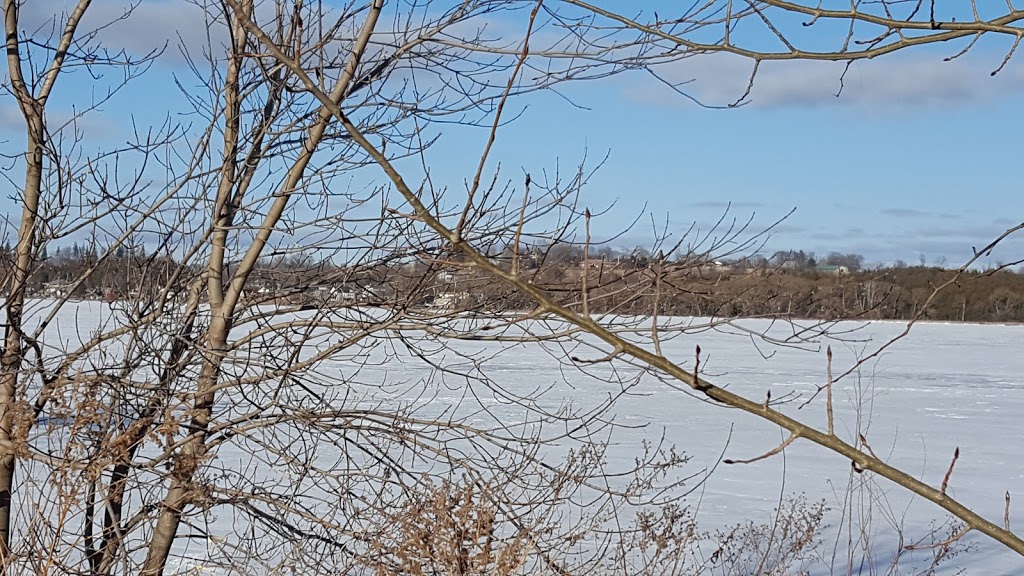 Joe Fowler Park | 57 Water St, Port Perry, ON L9L 1J2, Canada