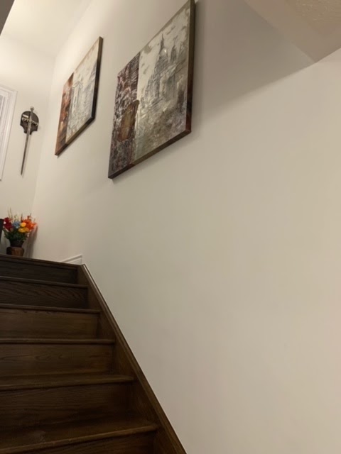 StarDust Sleepovers | 155 Werry Ave, Dundalk, ON N0C 1B0, Canada | Phone: (438) 889-9192