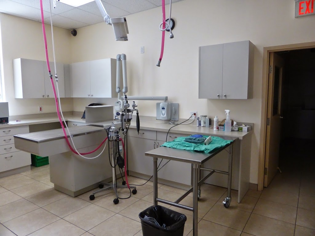 Upper Ottawa Animal Hospital | 868 Mohawk Rd E, Hamilton, ON L8T 2R5, Canada | Phone: (905) 388-0770