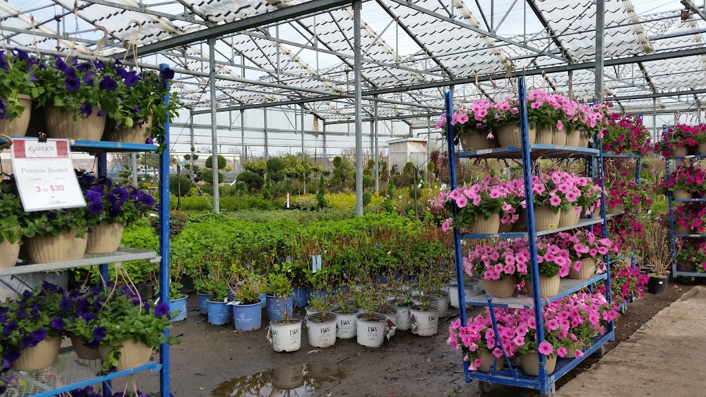 Garrys Garden Gallery | 5 Commerce Rd, Lindsay, ON K9V 5Y3, Canada | Phone: (705) 324-9574