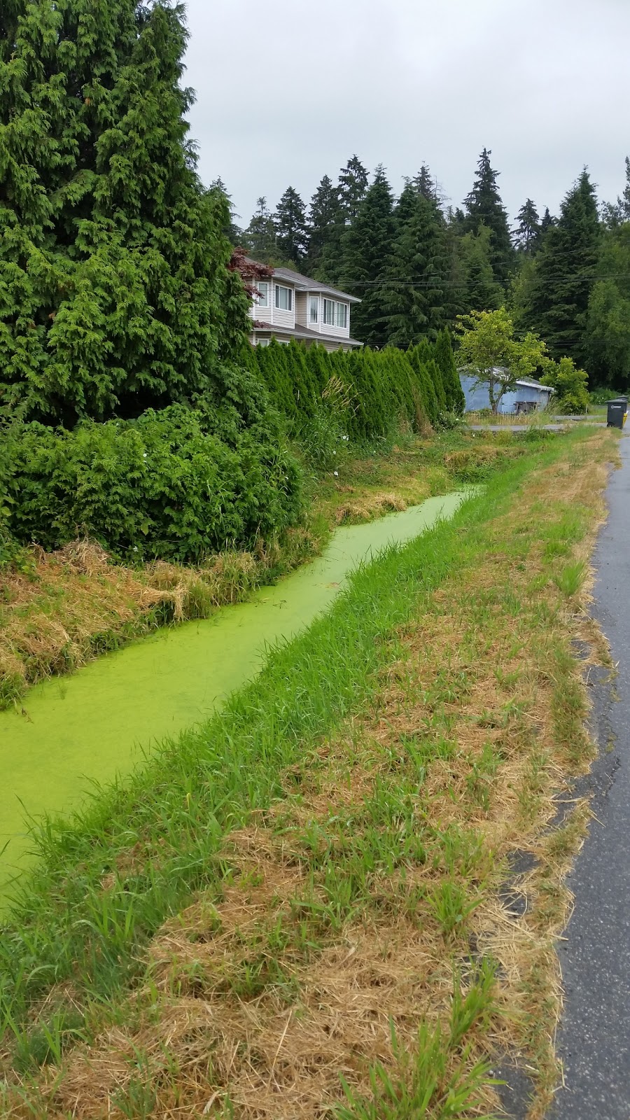 Willard Park | 6280 12th Ave, Burnaby, BC V3N 2Y4, Canada | Phone: (604) 294-7450