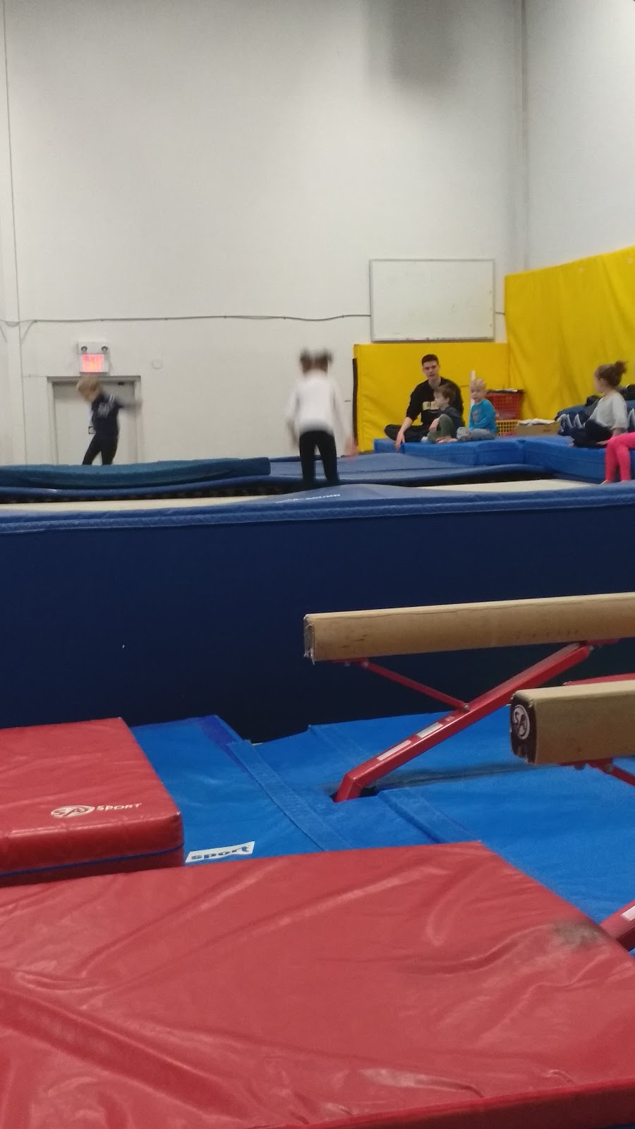 Cambridge Kips Gymnastics Club | 1458 Hamilton St, Cambridge, ON N3H 3G5, Canada | Phone: (519) 653-8509