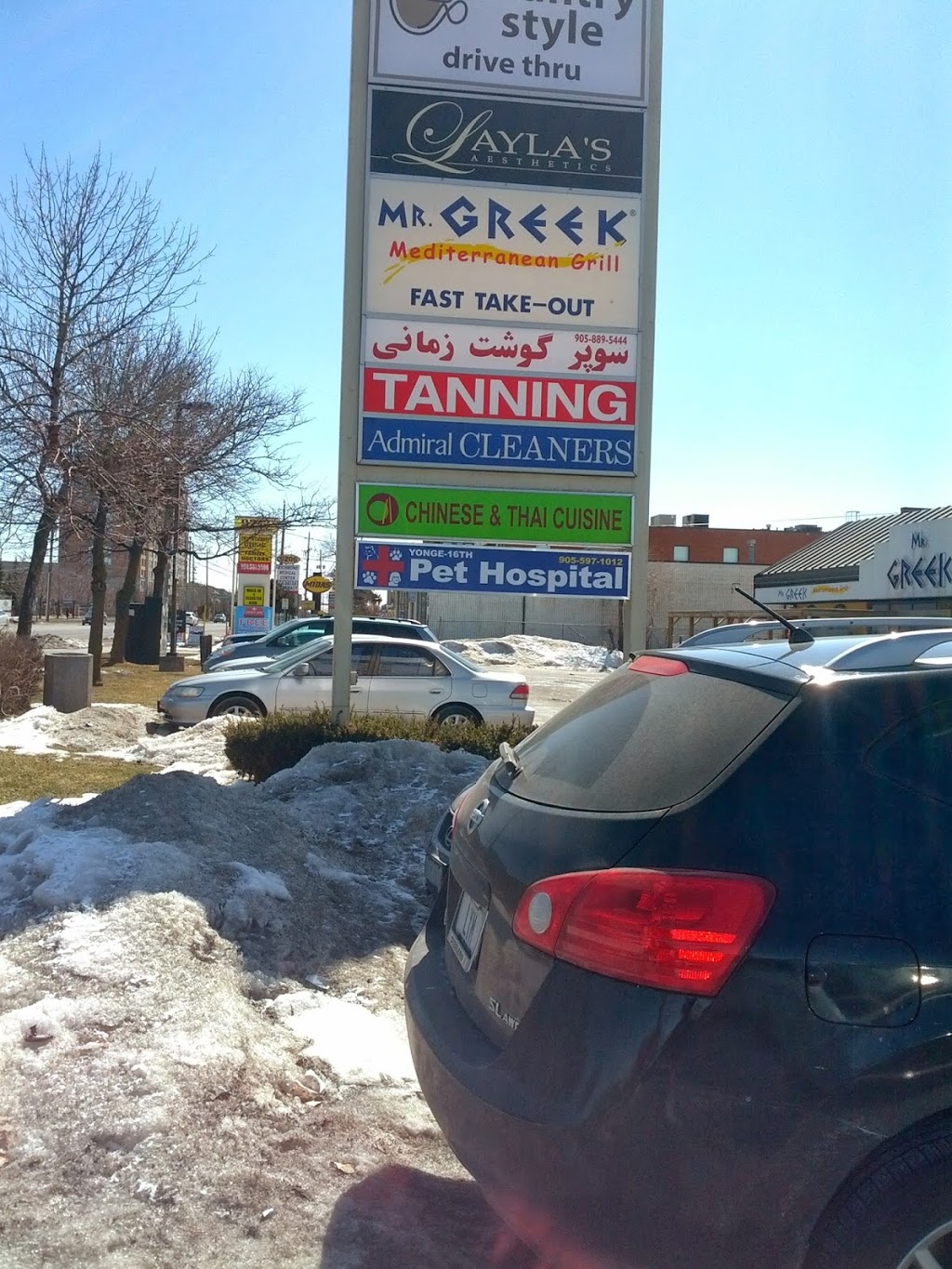 Yonge 16th Animal Hospital | 9218 Yonge St, Richmond Hill, ON L4C 7A2, Canada | Phone: (905) 597-1012