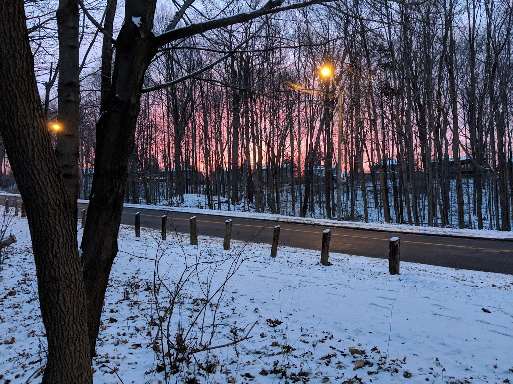Brookbanks Park | 75 Brookbanks Dr, North York, ON M3A, Canada
