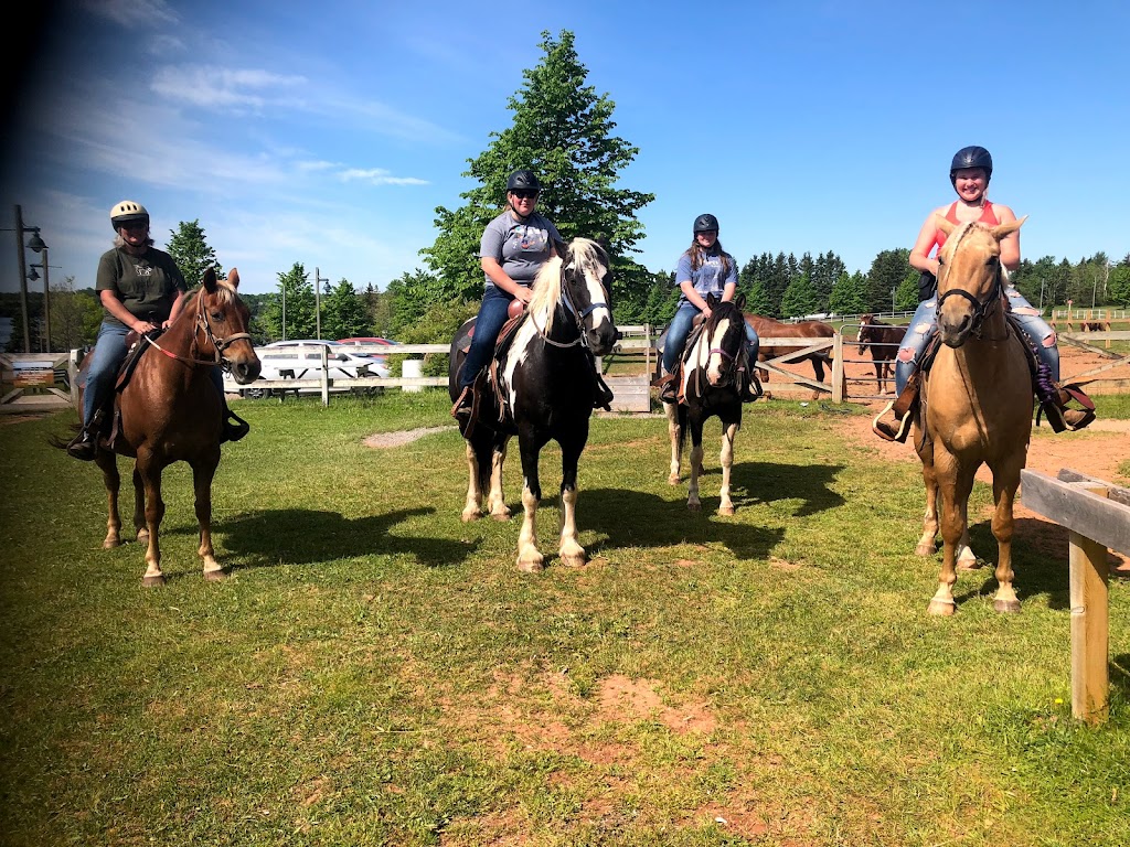 BRUDENELL RIDING STABLES | 235 Brudenell Island Blvd, Cardigan, PE C0A 1G0, Canada | Phone: (902) 652-2396