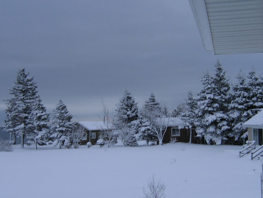 Blue Heron Gallery | 11 Beatons Bluff, Amherst, NS B4H 3X9, Canada | Phone: (902) 661-1089