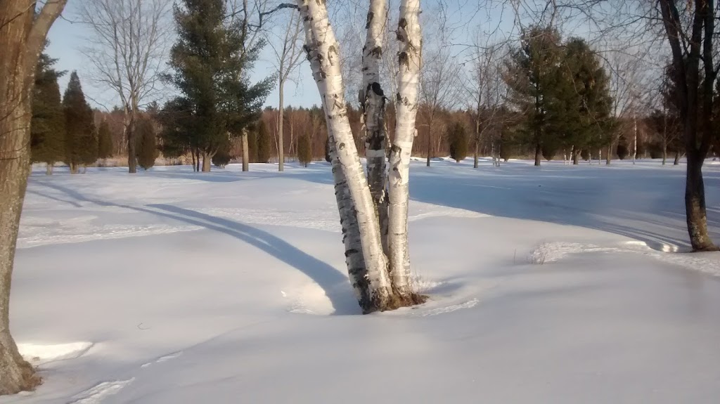Club De Golf Gentilly | 3625 Rue des Albatros, Bécancour, QC G9H 3Y2, Canada | Phone: (819) 298-3131