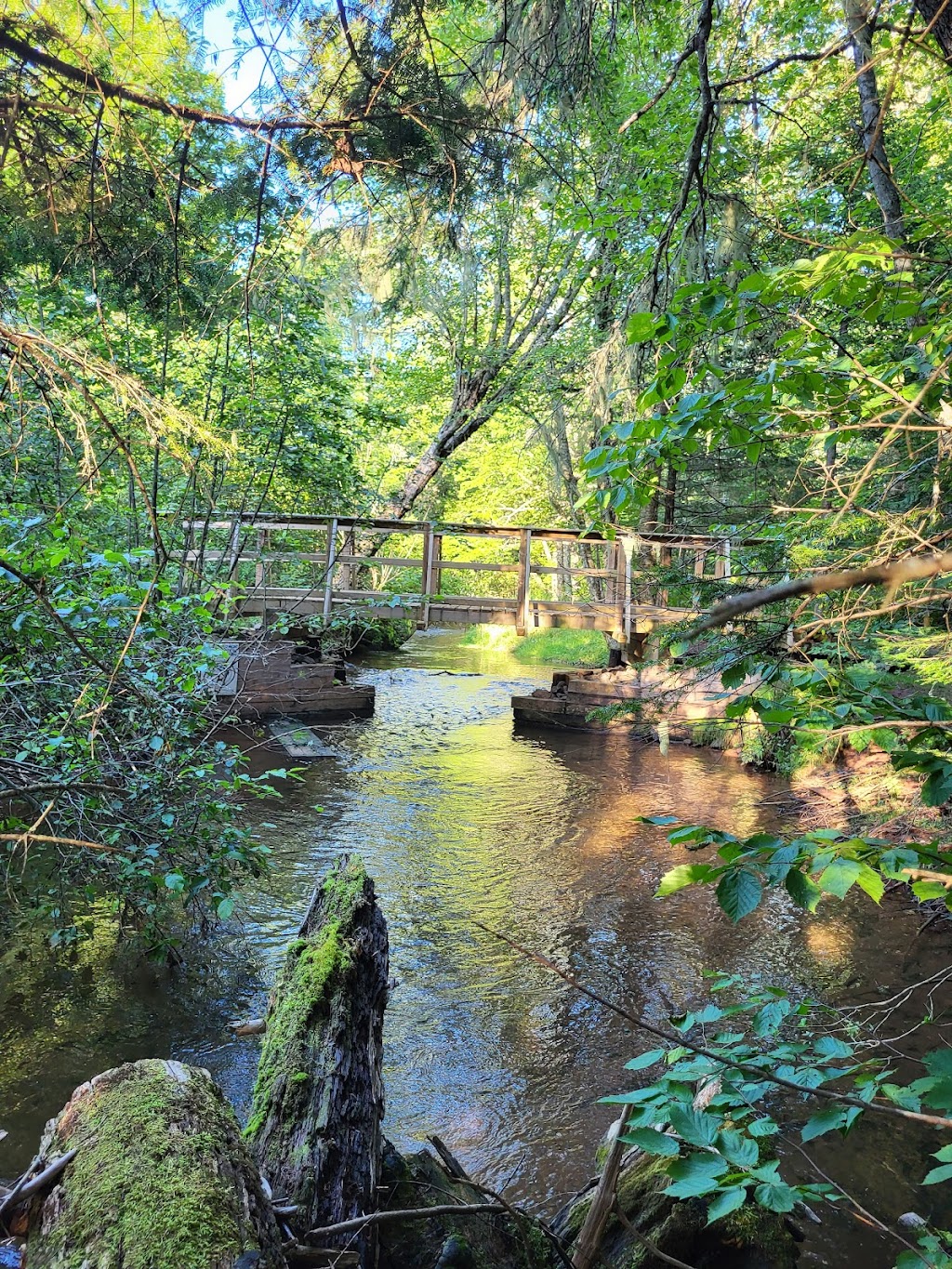 Bonshaw Provincial Park | 132 Riverdale Rd, Bonshaw, PE C0A 1C0, Canada | Phone: (902) 368-4791