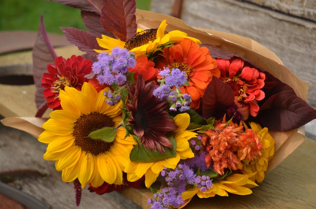 HappiLife Farm | 7702 Pemberton Meadows Rd, Pemberton, BC V0N 2L2, Canada | Phone: (604) 932-7844