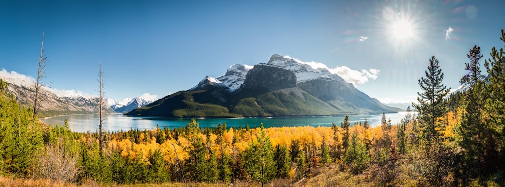 Dr. Taylor McInnes, R. Psych. | 2224 20 Ave NW, Calgary, AB T2M 1J2, Canada | Phone: (403) 891-2052