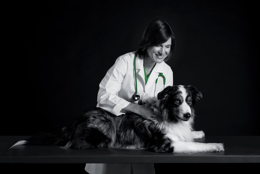 Vetoquinol Canada | 2000 Chemin Georges, Lavaltrie, QC J5T 3S5, Canada | Phone: (450) 586-2252