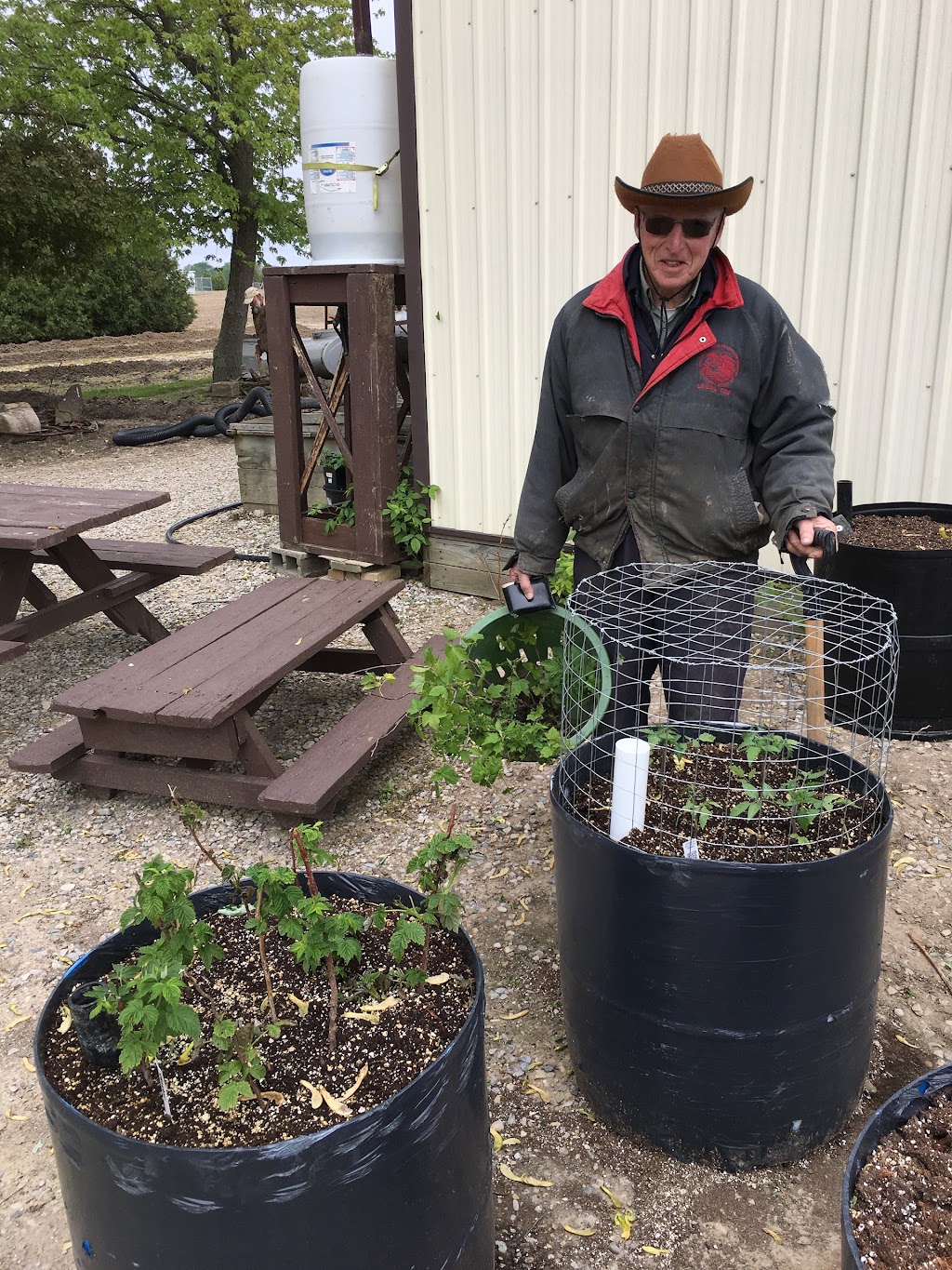 David Skippers Raspberry Farm | 3974 Newbiggen Dr, Glencoe, ON N0L 1M0, Canada | Phone: (519) 287-3013