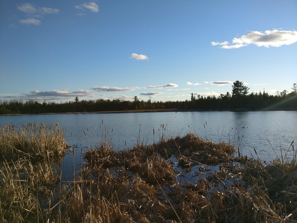 Sarsaparilla Trail | Old Richmond Rd, Nepean, ON K2H 8Y3, Canada