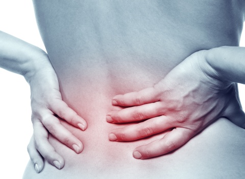 Physiotherapy on Lakeshore | 333 Lakeshore Rd W Unit#101, Mississauga, ON L5H 1G9, Canada | Phone: (905) 278-2255