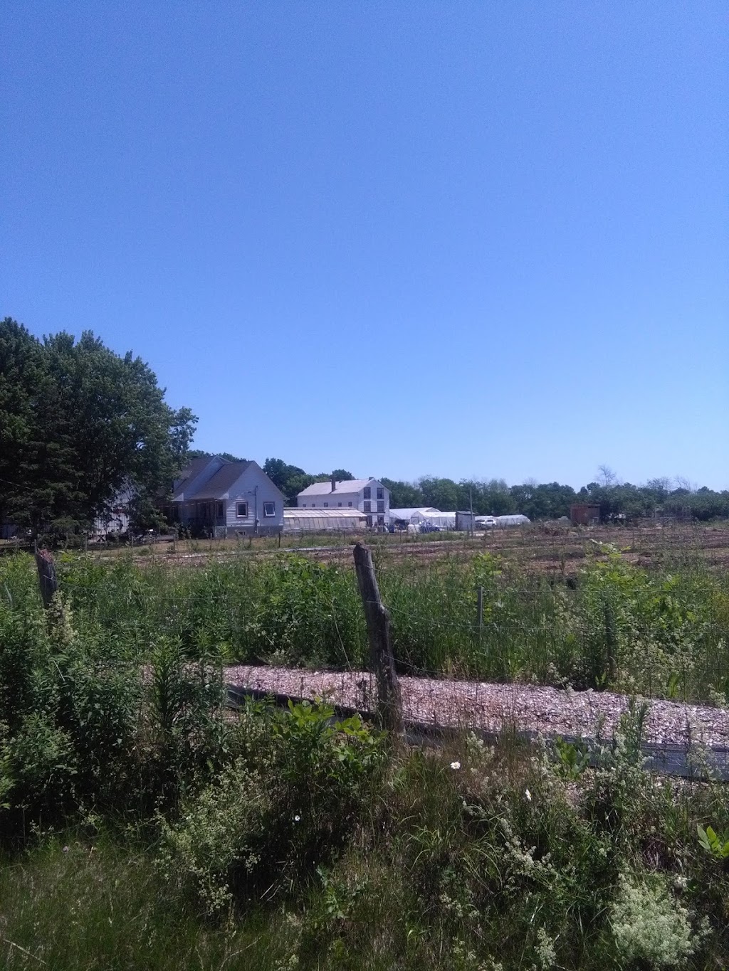 Verger Pépinière Bord-du-Lac | 1530 Chem. du Bord-du-Lac, LÎle-Bizard, QC H9E 1K3, Canada | Phone: (514) 606-3421
