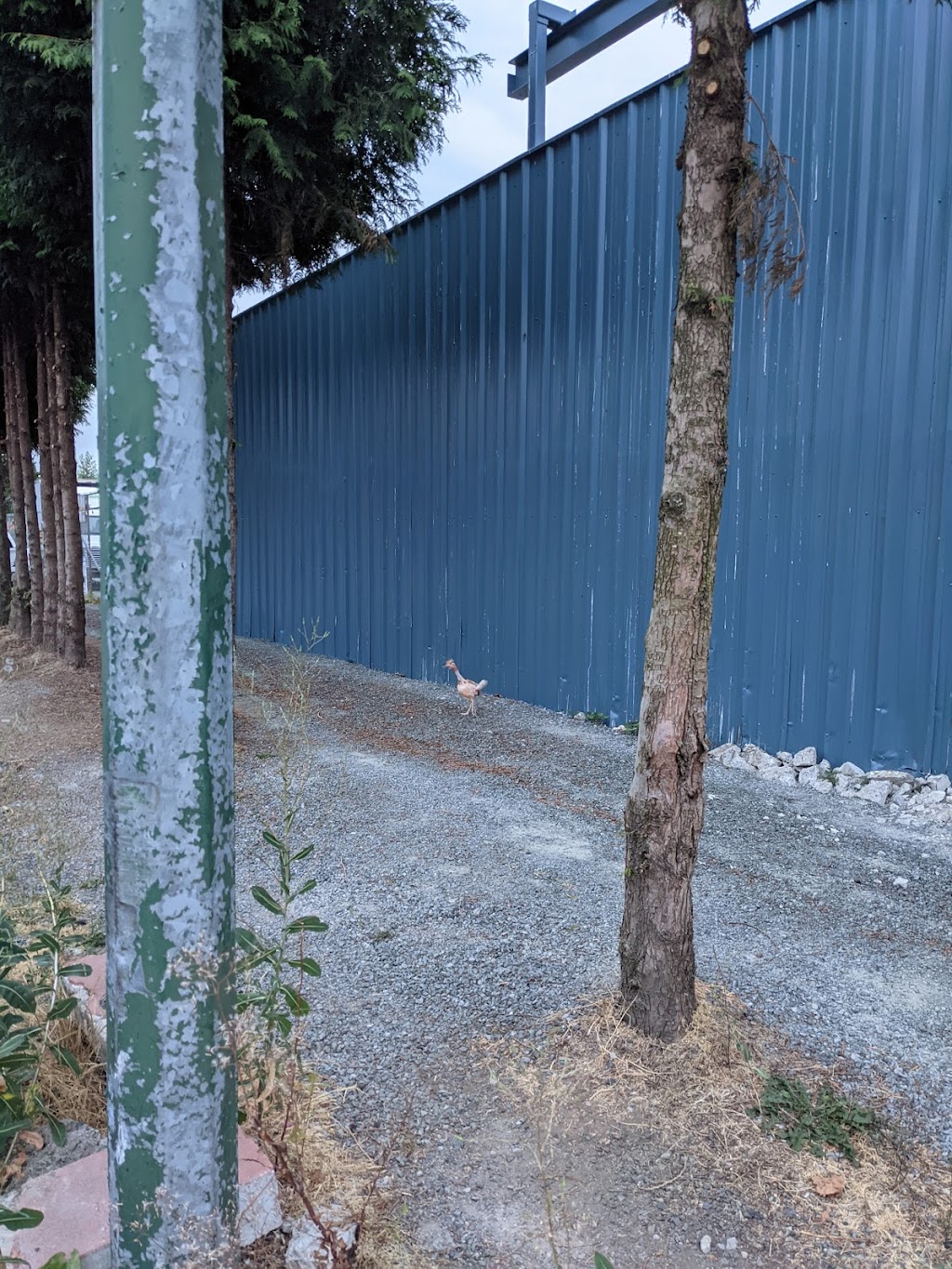 Superior Poultry Processors Ltd | 2784 Aberdeen Ave, Coquitlam, BC V3B 1A3, Canada | Phone: (604) 464-0533