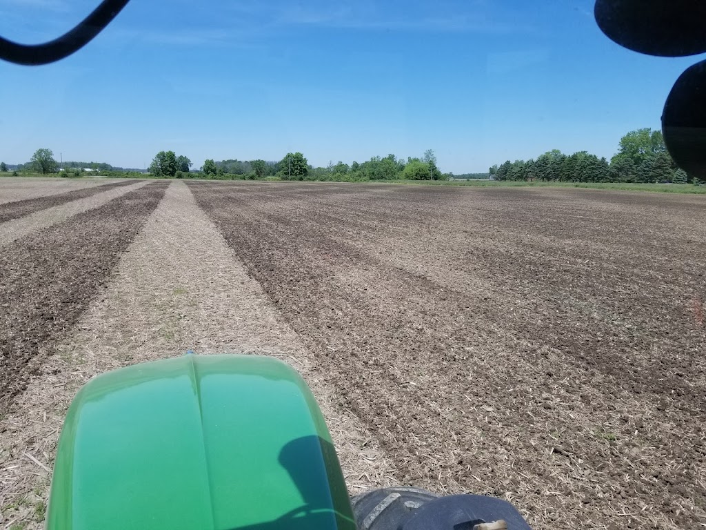 Blaindale Farms Ltd | 1289 Brant County Hwy 54, Caledonia, ON N3W 2G9, Canada | Phone: (905) 765-6583