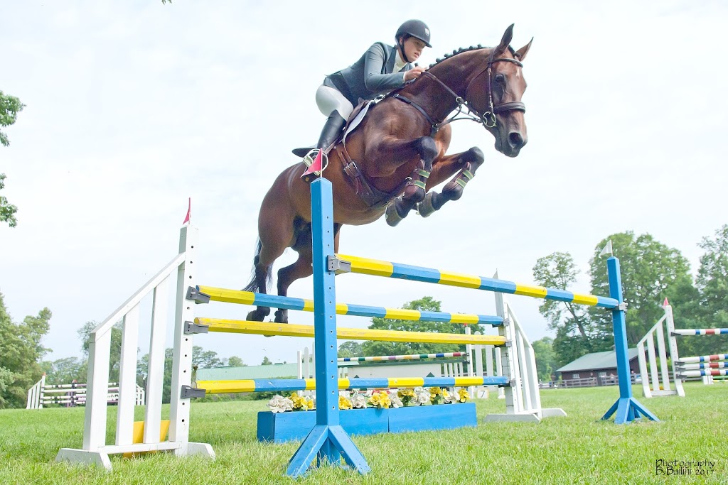 Glen Oro Farm | 2574 10 Line N, Hawkestone, ON L0L 1T0, Canada | Phone: (705) 326-7244