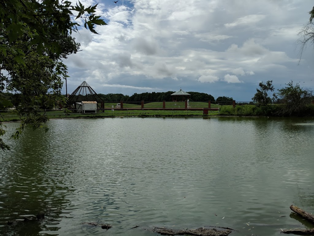 Jack Miner Migratory Bird Sanctuary | 332 Road 3 W, Kingsville, ON N9Y 2E5, Canada | Phone: (519) 733-4034
