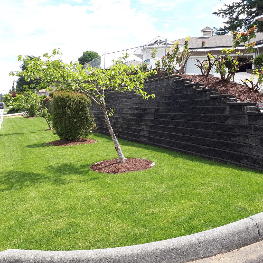 Anderson Sod Farm Ltd. | 36422 Hyde Buker Rd, Dewdney, BC V0M 1H0, Canada | Phone: (604) 826-2383