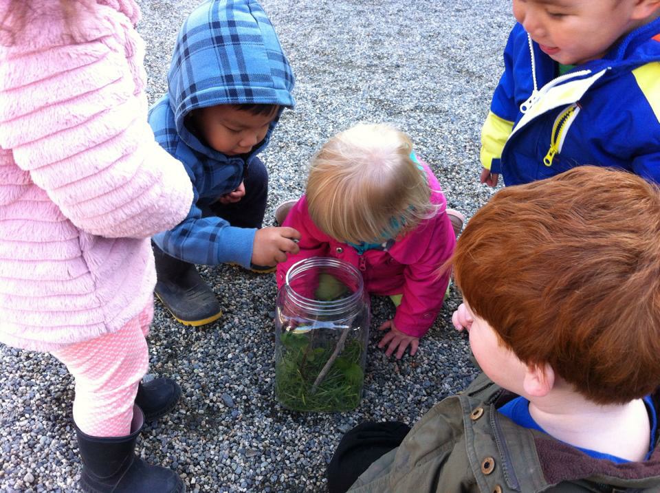 Roots & Wings Sullivan Day Care | 15295 56 Ave #101, Surrey, BC V3S 0X9, Canada | Phone: (604) 575-0788