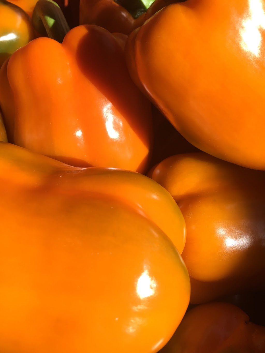 Doefs Greenhouses Ltd. | 41117 Hwy 792, Lacombe County, AB T4L 2N3, Canada | Phone: (403) 782-2704