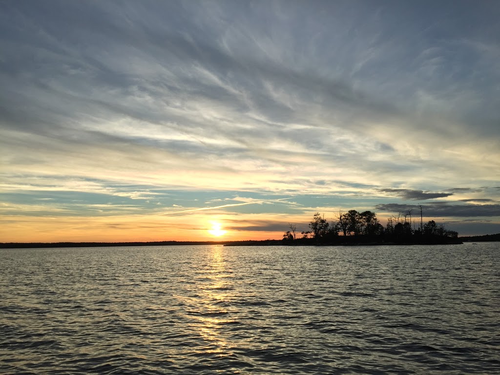 Eleanor Island Bird Sanctuary | Torrance, ON P0C 1M0, Canada