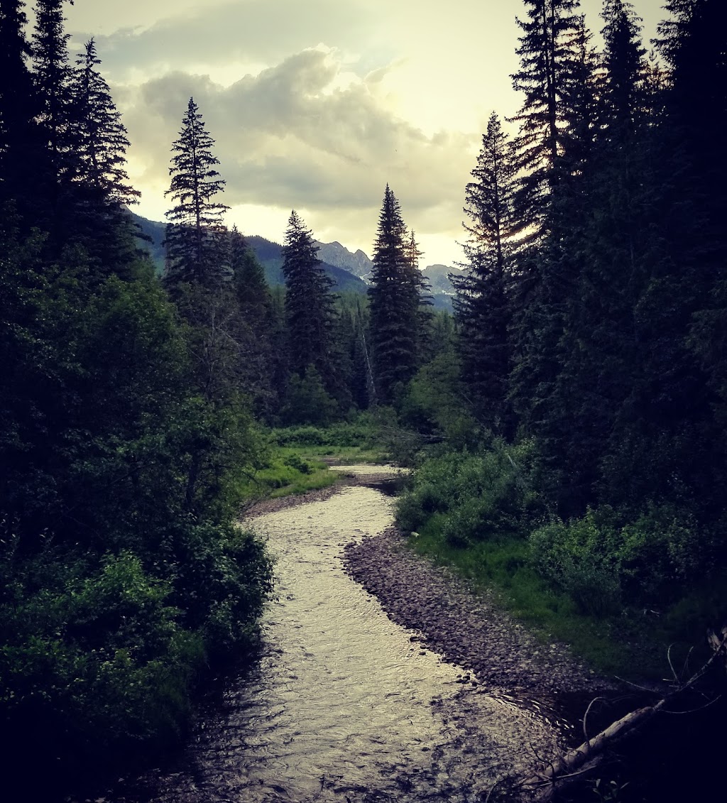 Mount Fernie Provincial Campground | 1M0, Mt Fernie Park Rd, Fernie, BC V0B 1M6, Canada | Phone: (250) 422-3003