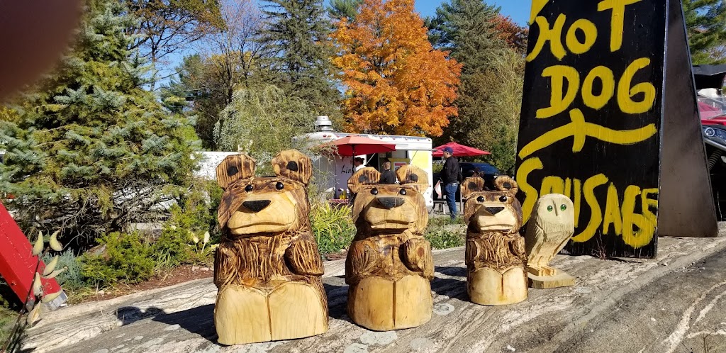 Ice Dreams Soda Shop | 3131 Muskoka District Road 169, Bala, ON P0C 1A0, Canada | Phone: (705) 762-2797