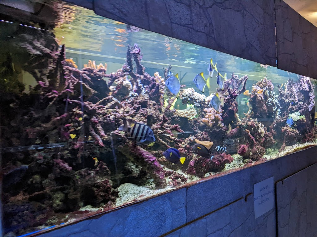Bird Shop & Aquariums | 1034 Main St, Winnipeg, MB R2W 3R1, Canada | Phone: (204) 582-1370