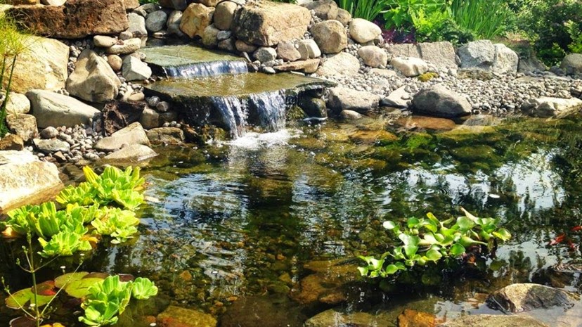 Arbre & Paysage | 1230 QC-133, Sabrevois, QC J0J 2G0, Canada | Phone: (514) 963-9073