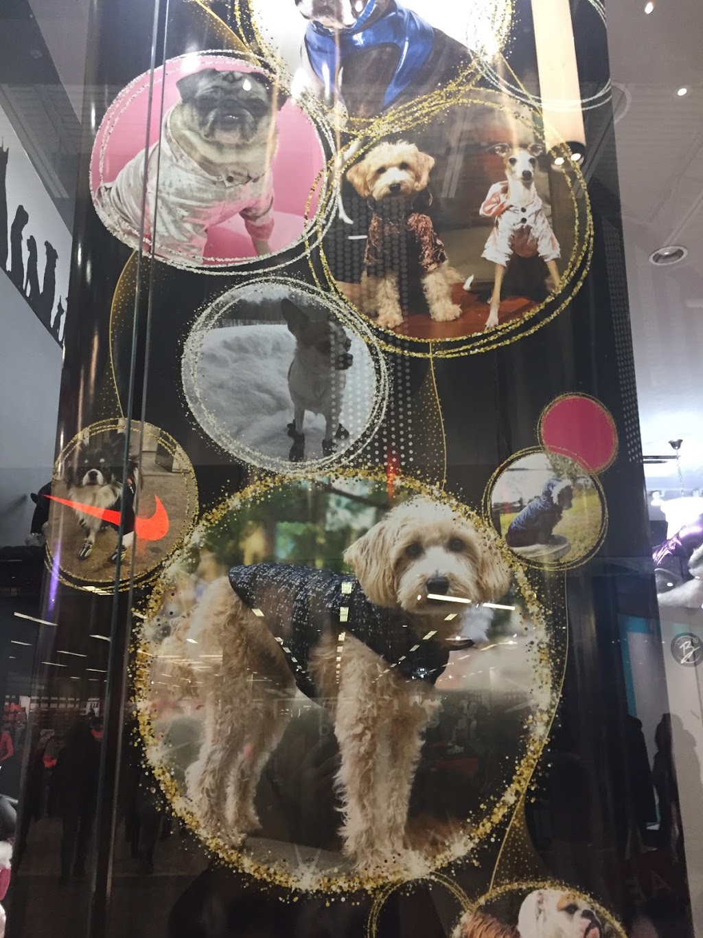Sweetie B Petwear Ltd | Vaughan Mills, 1 Bass Pro Mills Dr, Concord, ON L4K 5W4, Canada | Phone: (905) 597-5626