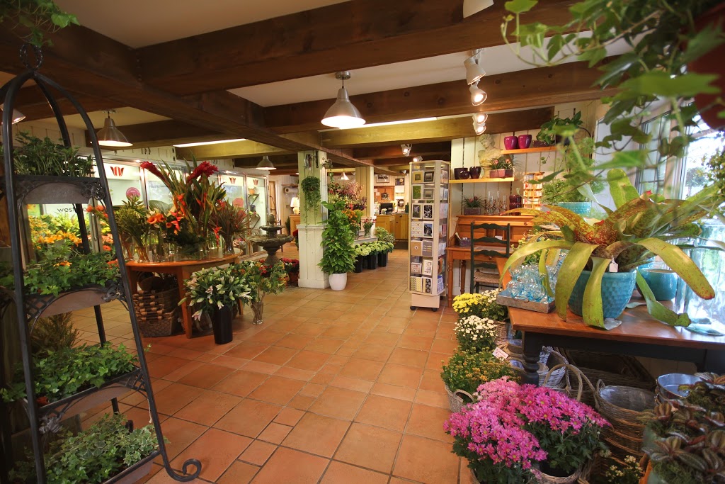 Westmount florist | 343 Chemin du Bord-du-Lac, Pointe-Claire, QC H9S 4L8, Canada | Phone: (514) 697-5858