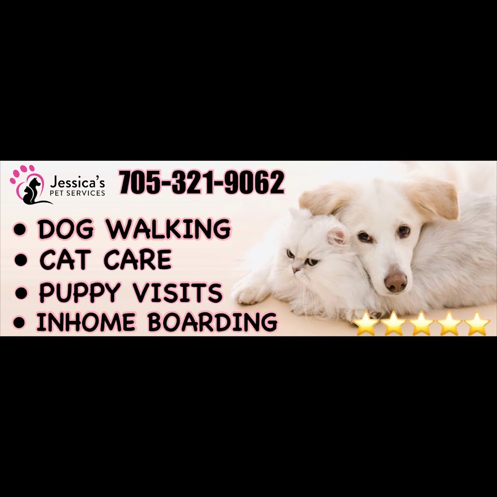 Jessicas Pet Services | 49 Douglas Dr, Barrie, ON L4M 6H6, Canada | Phone: (705) 321-9062