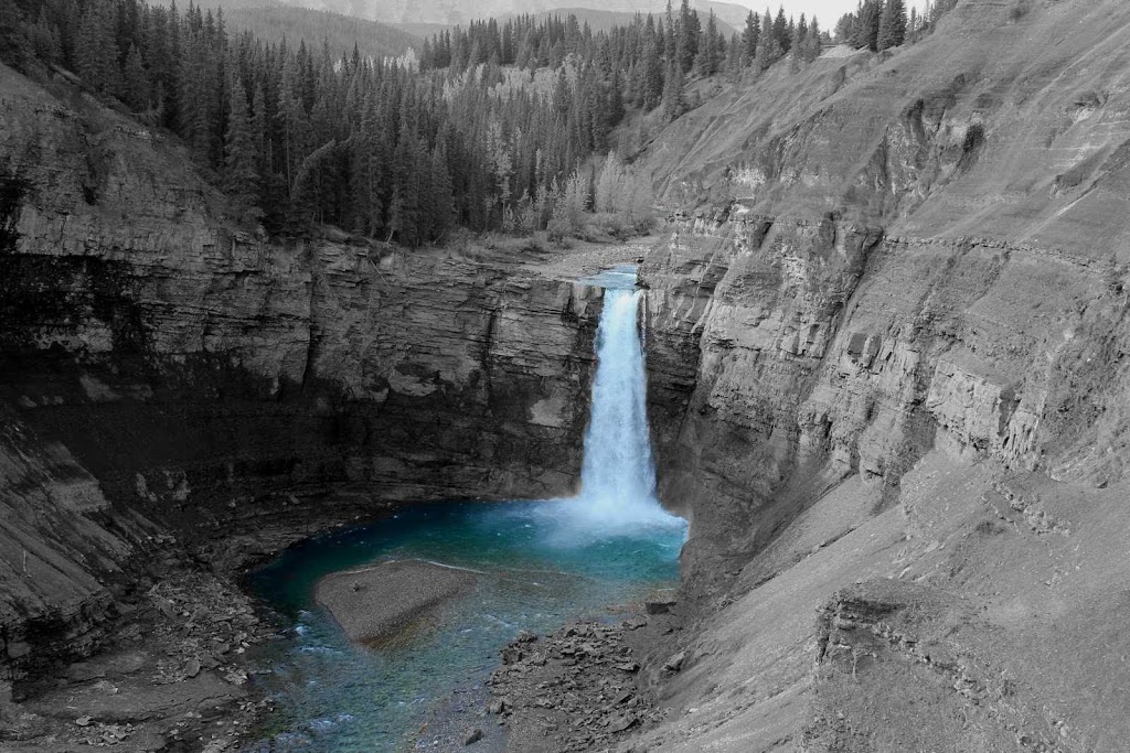 Trout Tracker Fishing & Guide Company | Calgary, AB T3M 0P9, Canada | Phone: (403) 880-3800