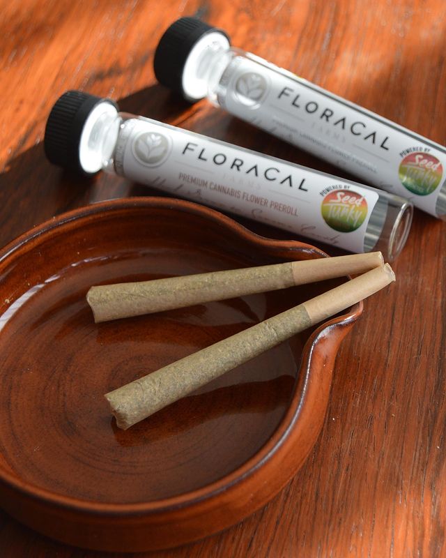 Drummondville Dispensary Online | 169 Rue Sylvestre, Saint-Germain-de-Grantham, QC J0C 1K0, Canada | Phone: (819) 809-5406