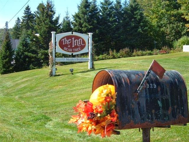 At Bear Tree | 3329 US-3, Pittsburg, NH 03592, USA | Phone: (603) 538-9995