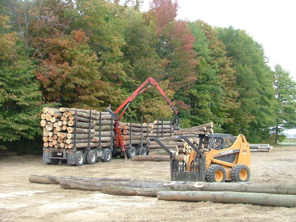 Trees Unlimited | 13130 McKenney Rd, Niagara Falls, ON L3B 6N7, Canada | Phone: (905) 384-0789